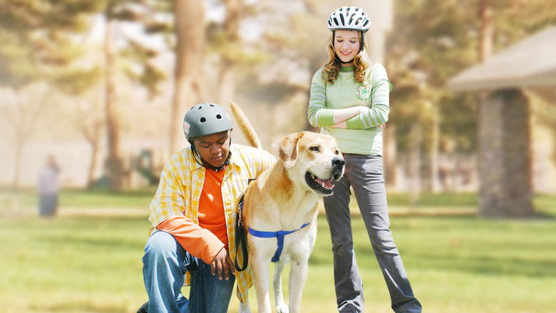 кадр из фильма Лучший пес