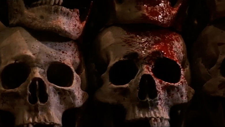 кадр из фильма I’M FLASH！