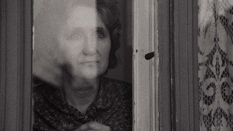 кадр из фильма Napló apámnak, anyámnak