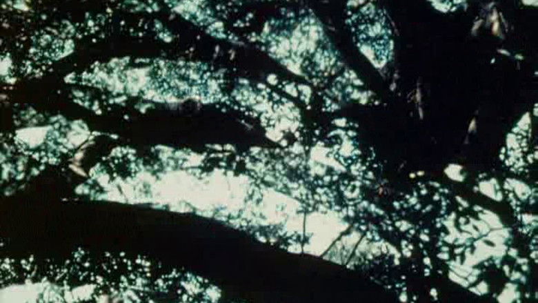 кадр из фильма Bark-Rind