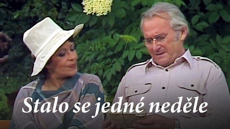 кадр из фильма Stalo se jedné neděle