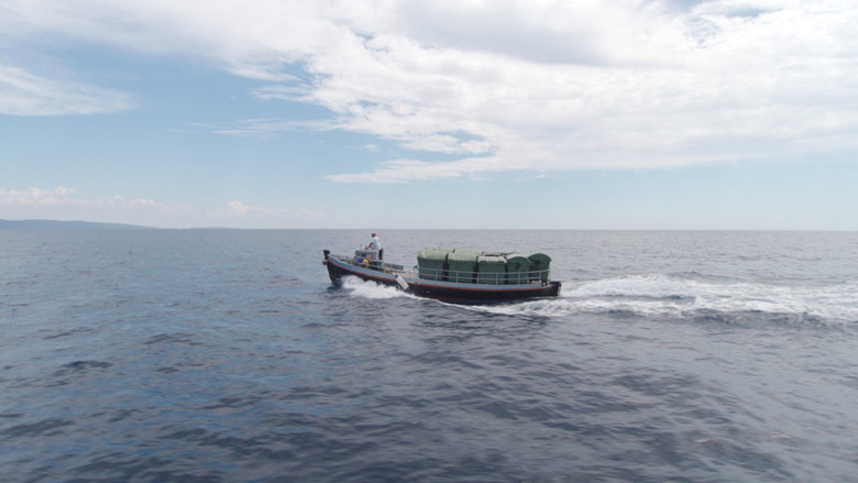 кадр из фильма Matter Out of Place