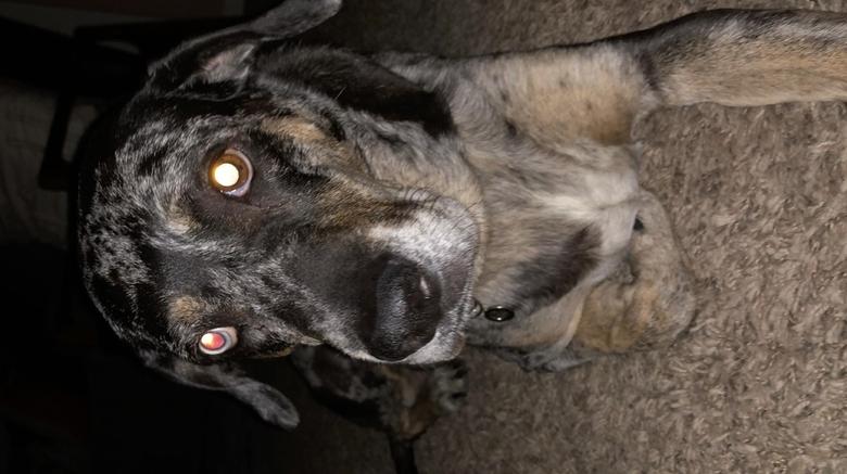 кадр из фильма As The Streets Fell Silent