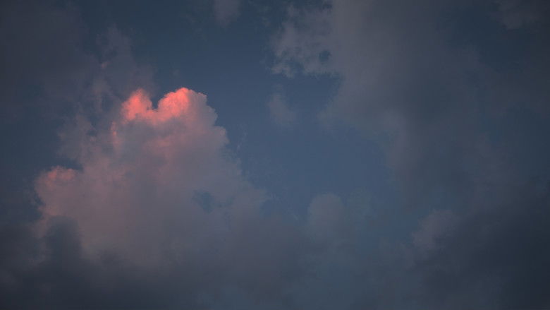 кадр из фильма Past Calling