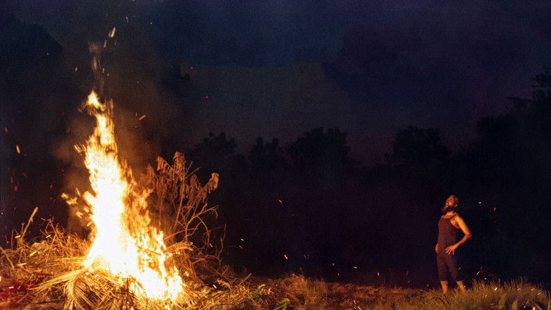 кадр из фильма கூர்மன்