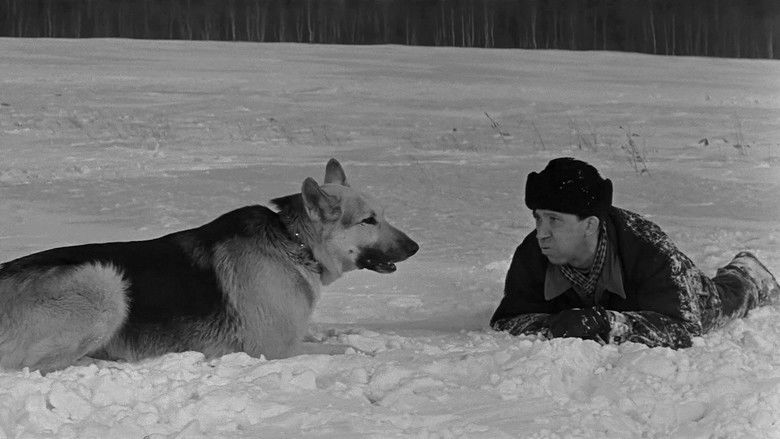 кадр из фильма Ко мне, Мухтар!