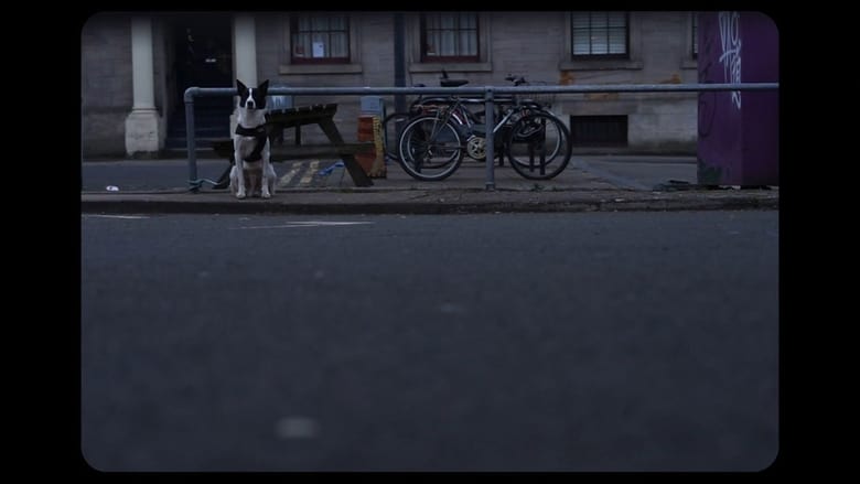 кадр из фильма Silence