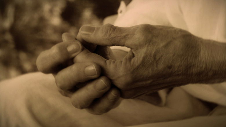 кадр из фильма Avec le vent et les feuilles