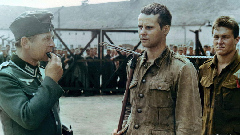 кадр из фильма Olimpiada 40