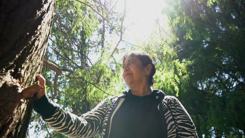 кадр из фильма AMAR