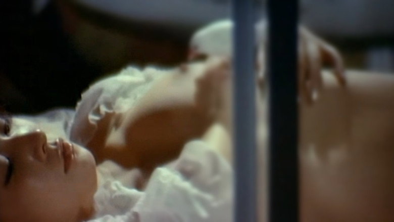 кадр из фильма 処女監禁