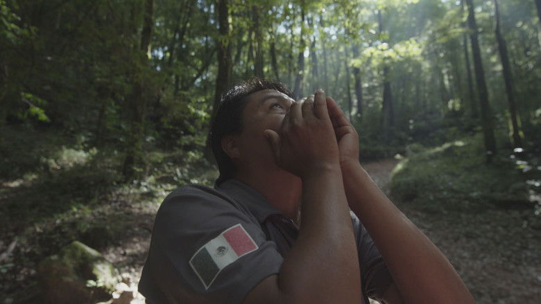 кадр из фильма Birders