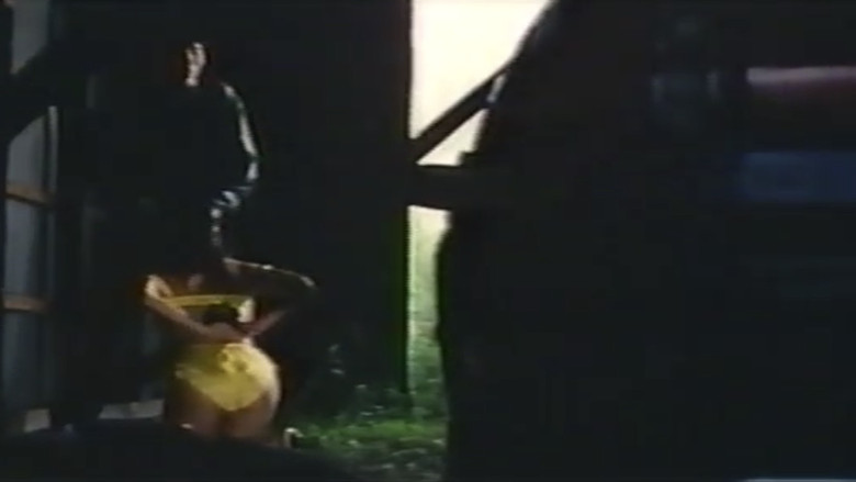 кадр из фильма 一度はしたい兄貴の嫁さん