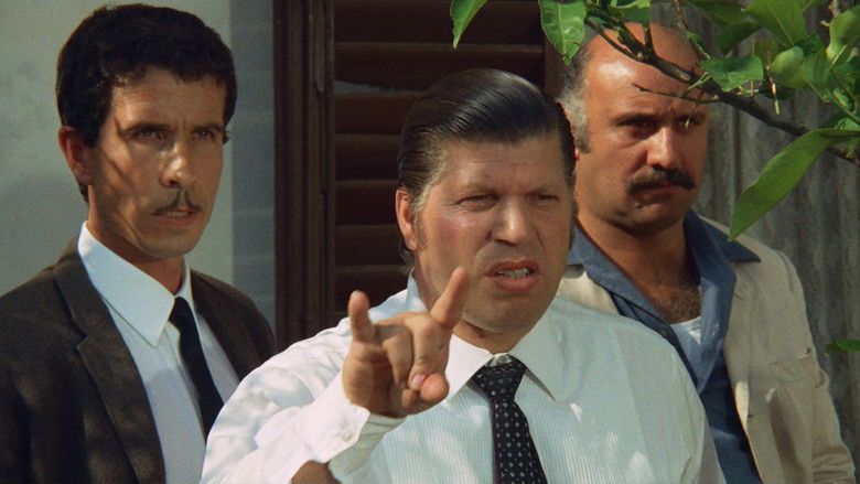 кадр из фильма Сова появляется днём