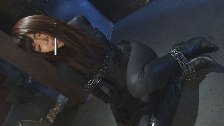 кадр из фильма ヒロインイメージファクトリー49　攻機特捜隊サイファーケルベロス