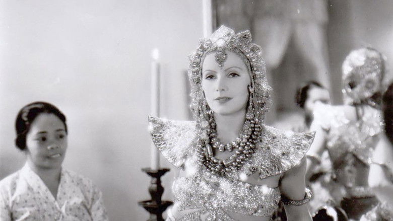 кадр из фильма Дикие орхидеи