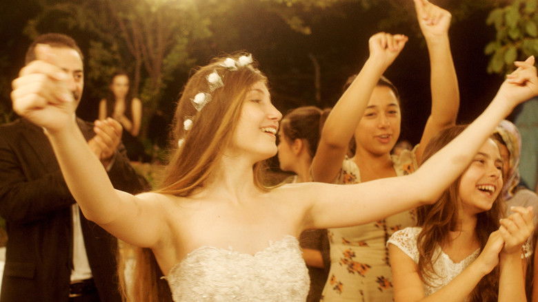 кадр из фильма Мустанг