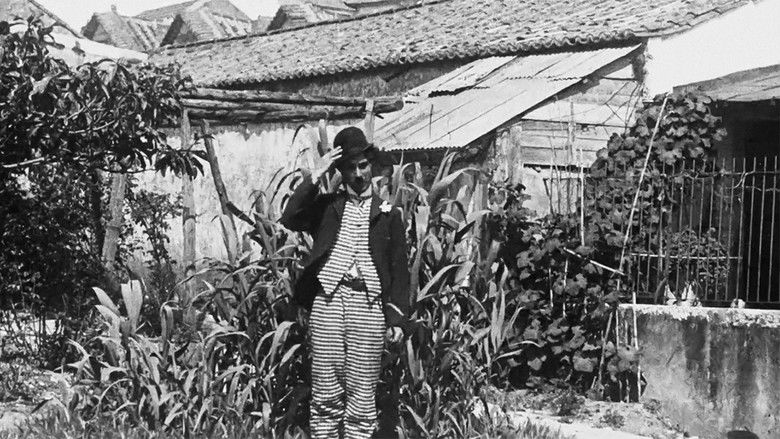 кадр из фильма Pratas, o Conquistador