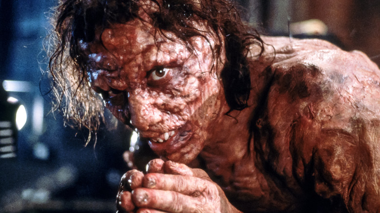 кадр из фильма Муха