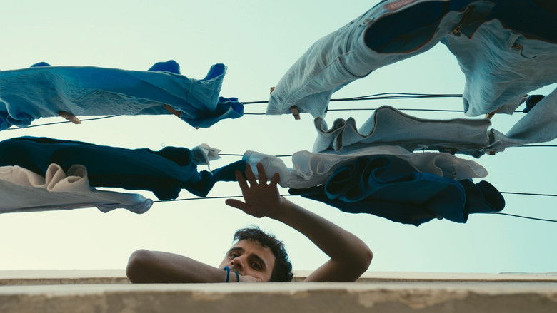 кадр из фильма V’s Secret