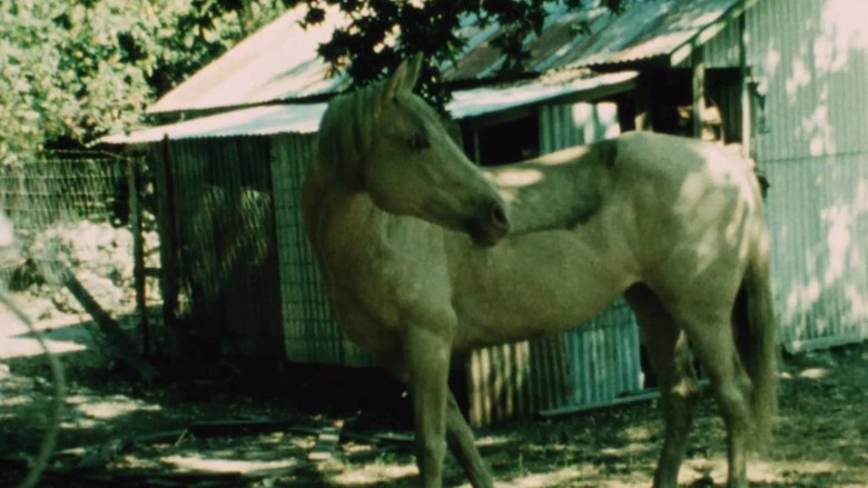 кадр из фильма Triste