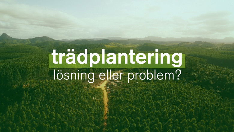 кадр из фильма Planter à tout prix - Des arbres pour sauver la planète ?