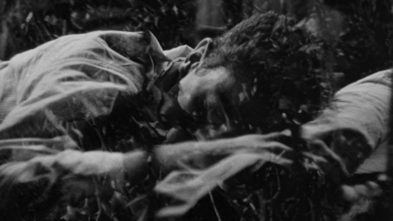 кадр из фильма Они живут по ночам