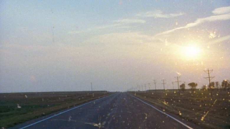 кадр из фильма Бурый кролик