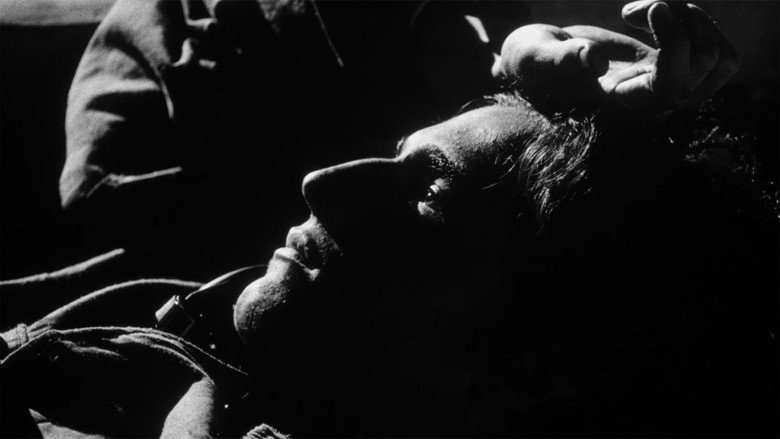 кадр из фильма Постоянные любовники