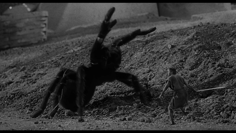 кадр из фильма Невероятно худеющий человек