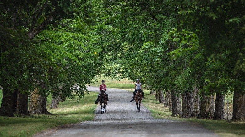 кадр из фильма Половинка меня