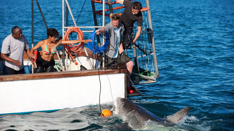 кадр из фильма Заклинательница акул