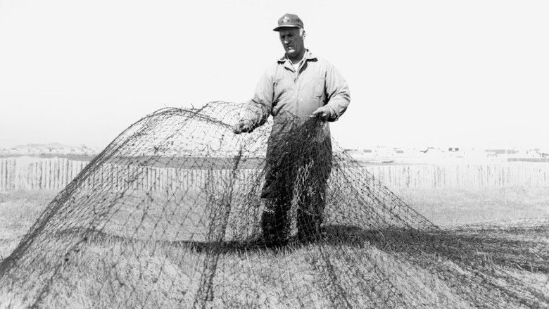 кадр из фильма Taking Stock