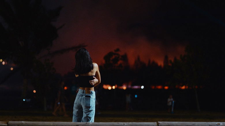 кадр из фильма Les Cendres Du Coeur