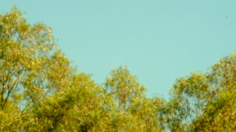 кадр из фильма Percepción