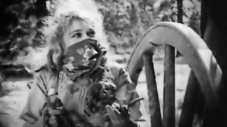 кадр из фильма M'Liss