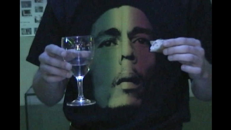 кадр из фильма відеокамера sony dcr-trv265e digital8