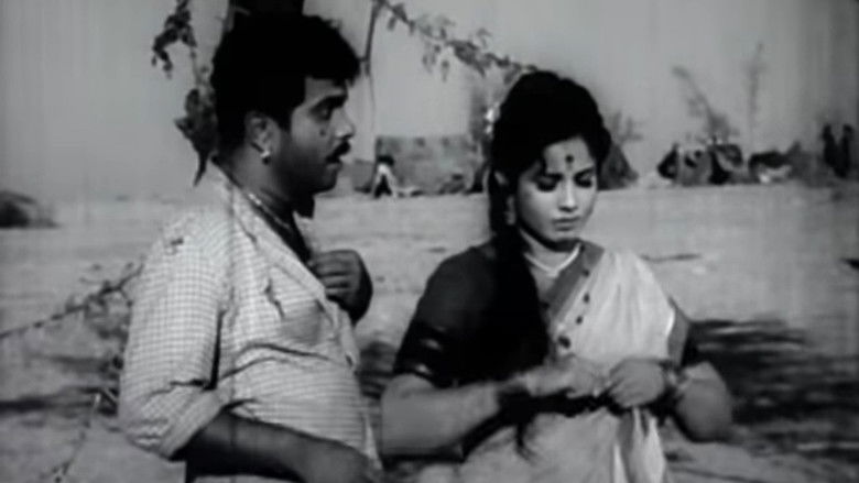 кадр из фильма डोंगरची मैना