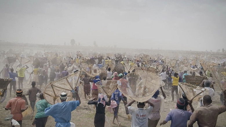 кадр из фильма I bɔyɔrɔ, d’où viens-tu ? 