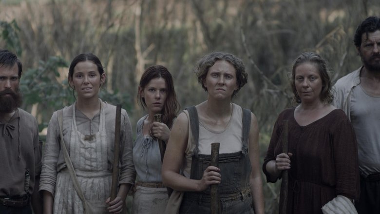 кадр из фильма A Colmeia