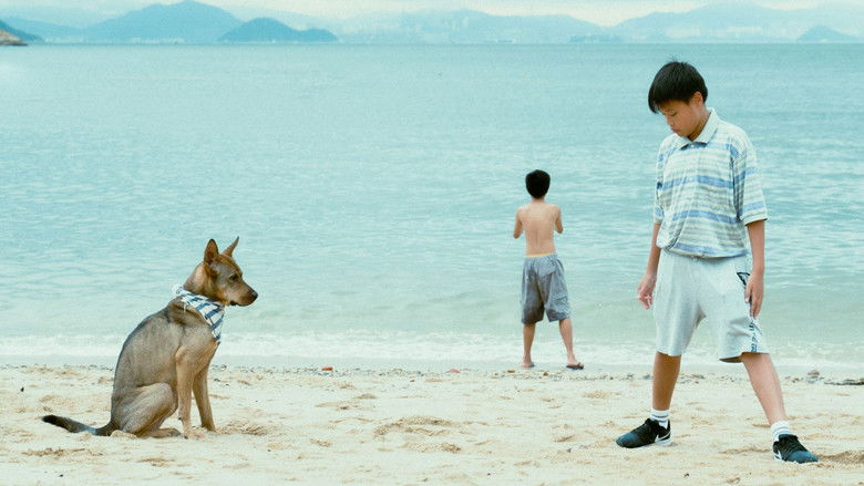 кадр из фильма 野草