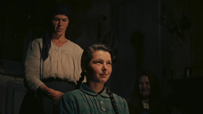 кадр из фильма I dimenticati