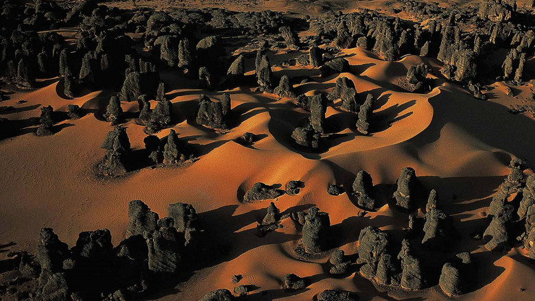 кадр из фильма L'Algérie Vue Du Ciel