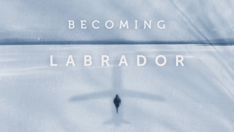 кадр из фильма Becoming Labrador
