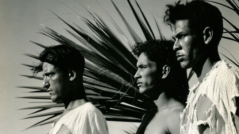 кадр из фильма Сети