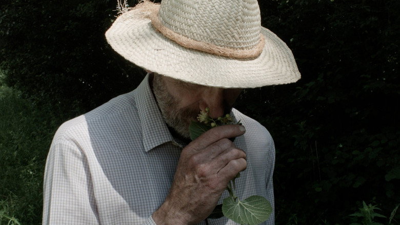 кадр из фильма Sept promenades avec Mark Brown