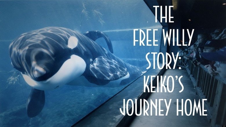 кадр из фильма The Free Willy Story - Keiko's Journey Home