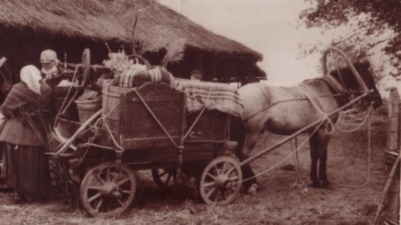 кадр из фильма Времена землемеров