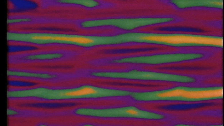 кадр из фильма Video Vitae