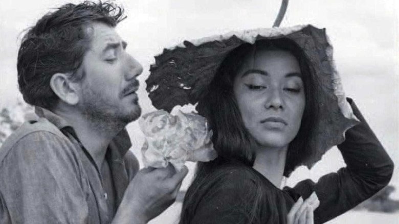 кадр из фильма Mort en fraude